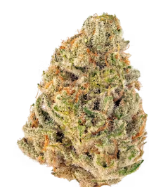 Candy Cream Autoflower Feminized